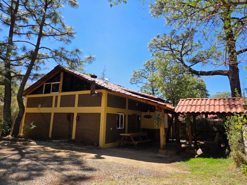 Premium Cabana Don Viejo 8 16px Principal 13
