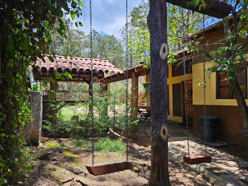 Premium Cabana Don Viejo 8 16px Principal 16