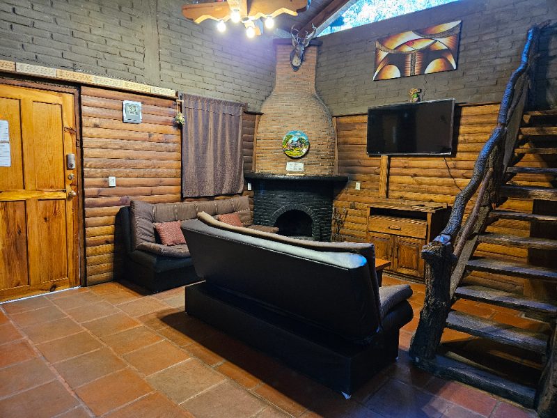 Premium Cabana Don Viejo 8 16px Principal 17