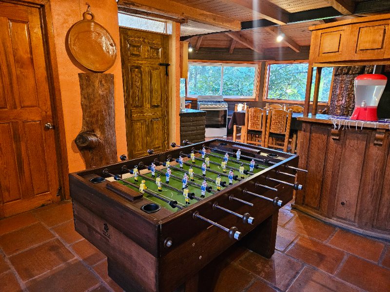 Premium Cabana Don Viejo 8 16px Principal 19