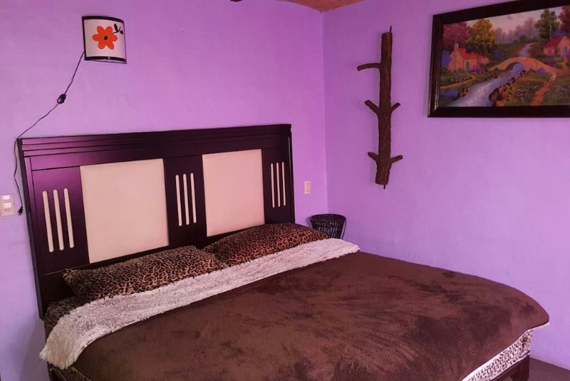 Premium Cabana Don Viejo 8 16px Principal 2