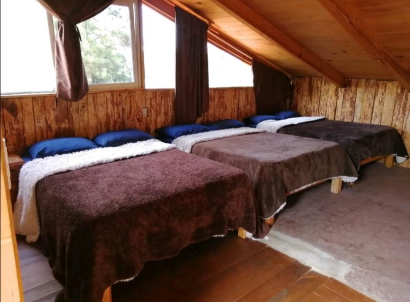 Premium Cabana Don Viejo 8 16px Principal 5